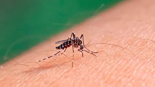 Alerta dengue: ya son 20 los fallecidos en la Provincia en 2024