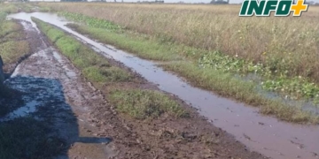 Productores de Oliveros reclamaron por el abandono de los caminos rurales