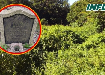 Descubrieron en la región la tumba escondida de un profesor y científico Nazi