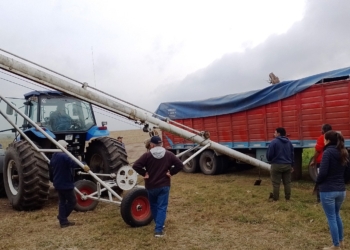 Detectaron irregularidades en 31 toneladas de soja en el puerto de Timbúes