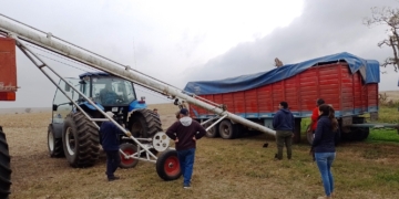 Detectaron irregularidades en 31 toneladas de soja en el puerto de Timbúes