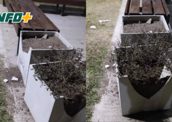 Dañaron espacios públicos en Maciel: «Nos entristece»