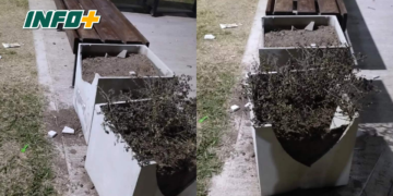 Dañaron espacios públicos en Maciel: «Nos entristece»