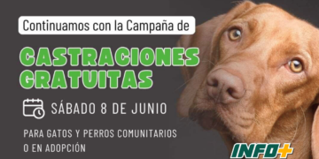 Nuevas campañas de castraciones gratuitas en San Genaro y Barrancas