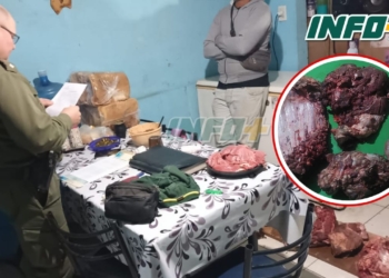Cuatrerismo en las islas: la Comuna de Gaboto tomó medidas tras el robo de animales