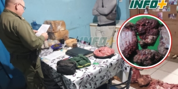 Cuatrerismo en las islas: la Comuna de Gaboto tomó medidas tras el robo de animales