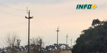 Robaron 400 metros de cable y dejaron sin luz a Monje