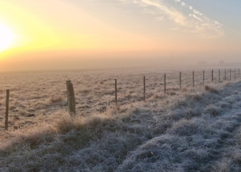 Récord de frío: arranca una semana bajo cero en la región