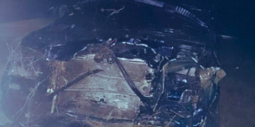 Un jugador de Colón chocó contra un animal suelto sobre autopista