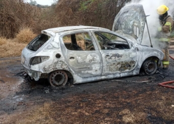 Barrancas: una joven sufrió el incendio de su auto cuando conducía