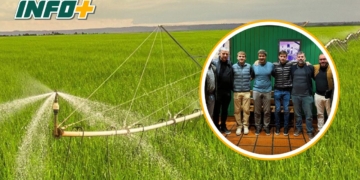 Totoras: Criolani acordó con una firma brasileña e invertirán 10 millones de dólares