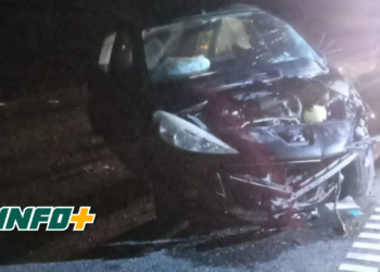 Una camioneta despistó por esquivar a un caballo en autopista y un auto impactó contra el animal