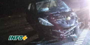 Una camioneta despistó por esquivar a un caballo en autopista y un auto impactó contra el animal