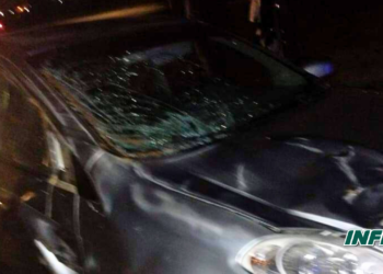 Un caballo cruzó la autopista y fue impactado por un auto
