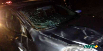 Un caballo cruzó la autopista y fue impactado por un auto