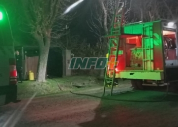 Incendio en una vivienda en Andino: una mujer asistida por inhalar humo