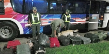 Un perro detectó 5 kilos cocaína en un colectivo a la altura de Timbúes