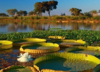 Experiencia Santa Fe: la provincia presentó propuestas para la temporada de verano 2024/25