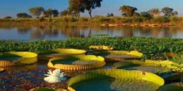 Experiencia Santa Fe: la provincia presentó propuestas para la temporada de verano 2024/25