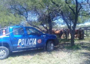 Faenaron cuatro terneros en un campo de Totoras y robaron un grupo electrógeno
