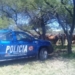 Faenaron cuatro terneros en un campo de Totoras y robaron un grupo electrógeno
