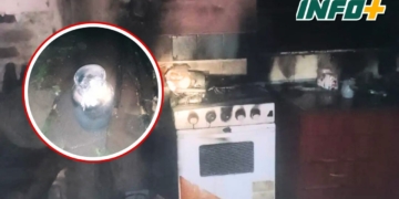 San Genaro: incendio y susto en la cocina de una vivienda