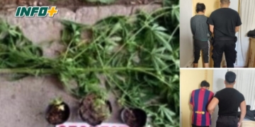Allanamiento en Totoras: dos aprehendidos y secuestro de cannabis y elementos