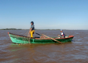 Comenzó a regir la veda para la pesca comercial y deportiva del surubí