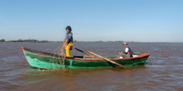 Comenzó a regir la veda para la pesca comercial y deportiva del surubí