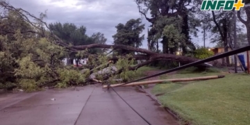 Temporal en la región: voladura de techos, árboles caídos y pueblos sin luz