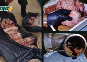 Allanamiento y decomiso de 85 kilos de carne en un comercio de Gaboto