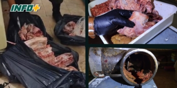 Allanamiento y decomiso de 85 kilos de carne en un comercio de Gaboto