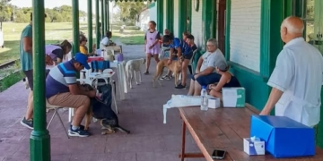 Nuevo operativo de estilización y vacunación para perros y gatos en San Genaro
