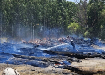 Brigadistas santafesinos lograron controlar el voraz incendio en Celulosa 