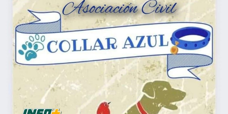 La Asociación Civil Collar Azul de Maciel convoca a su Asamblea General Ordinaria