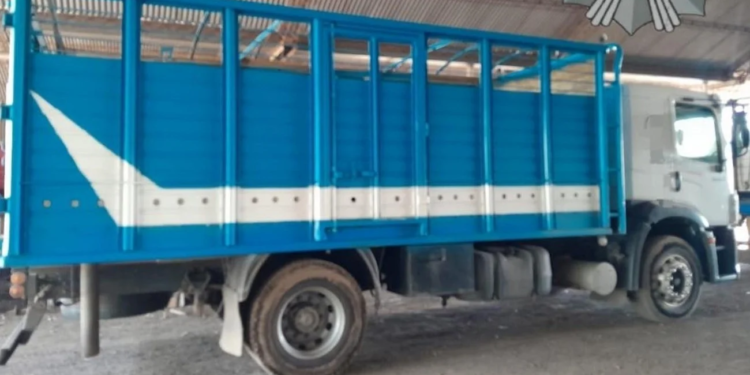 Allanamientos en Totoras y San Genaro por el robo de 1500 cabezas de ganado