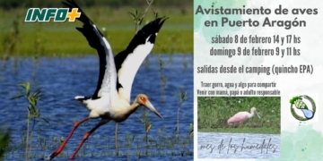 Invitan a dos jornadas de avistamiento de aves en Puerto Aragón