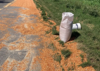 Le abrieron la boquilla a un camión e intentaron robar el cereal