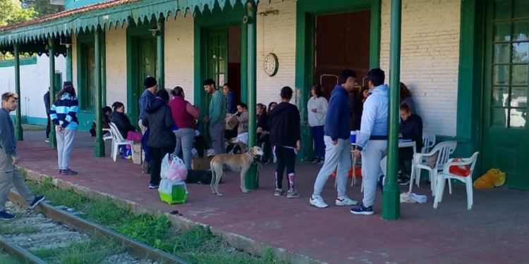 Castraron y vacunaron a 52 mascotas en una nueva jornada de salud animal en San Genaro