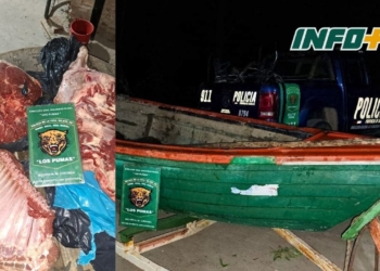 Carneó un animal en la isla y fue detenido por Los Pumas cuando regresaba