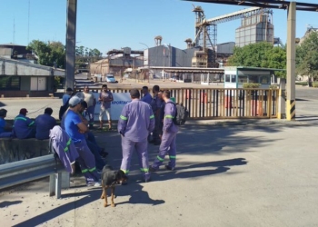 Vicentín cerró sus plantas de la región y dejó a la deriva a sus trabajadores