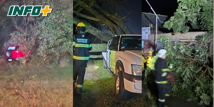 Temporal en Totoras: accidente, árboles caídos y calles anegadas
