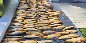 La policía rural incautó 130 piezas ictícolas y sancionó a un pescador sin habilitación