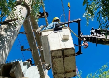 Cortes de luz en la ciudad de Totoras por trabajos de poda