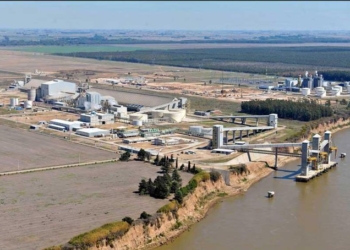 Tragedia en Timbúes: murió atropellado un chofer en la playa de camiones de Renova