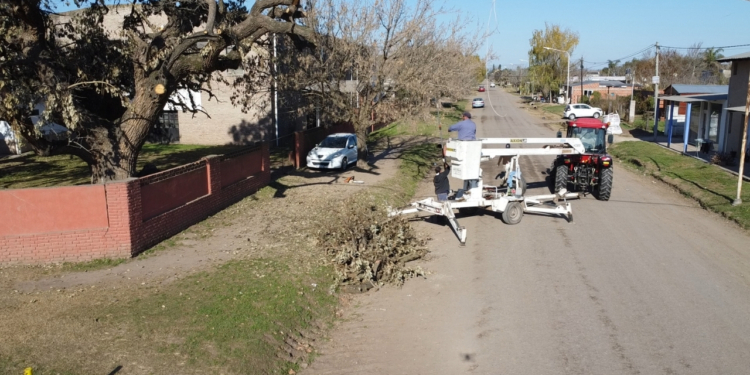 La Comuna de Gaboto retomó los trabajos de poda en el arbolado público