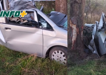 Un joven de Andino protagonizó un fuerte accidente: impactó contra un árbol sobre la Ruta 26s