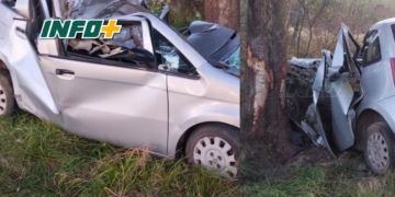 Un joven de Andino protagonizó un fuerte accidente: impactó contra un árbol sobre la Ruta 26s