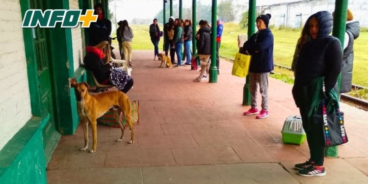 Nuevo operativo de esterilización y vacunación antirrábica en San Genaro