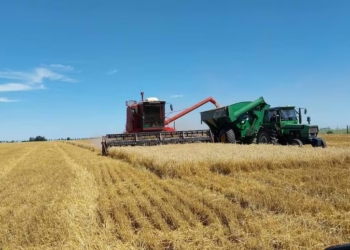 El Gobierno Nacional bajó las retenciones y lo celebran productores de la región